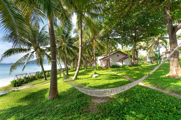 Comment organiser un camping pour observer les baleines en région côtière?